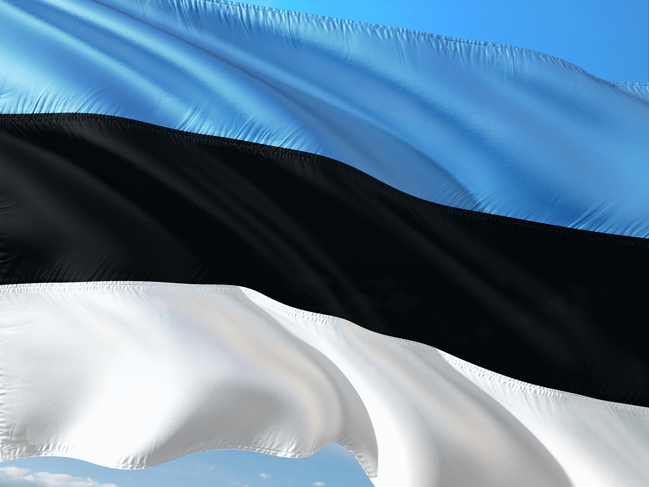 American expats enjoying life in Estonia